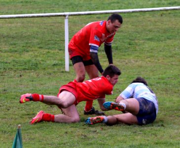 IMG_1272 