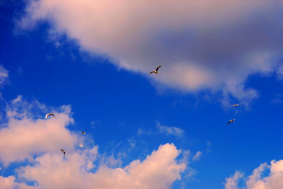 Blue mood clouds form