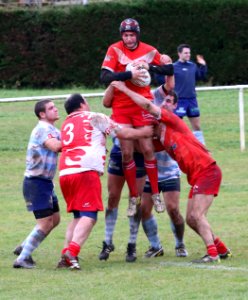 IMG_1062 