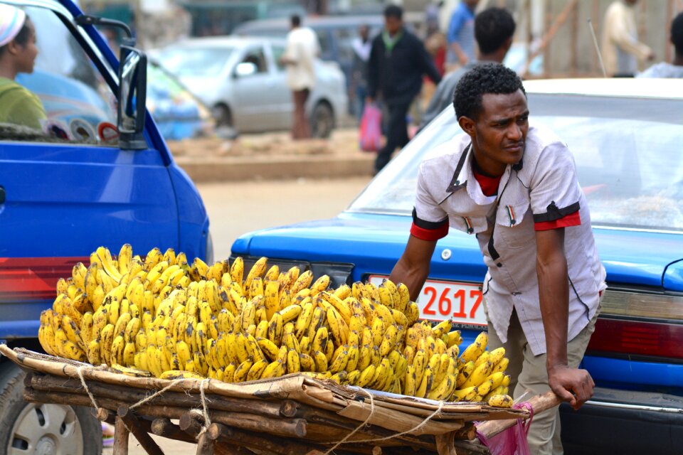 Fruit natural african