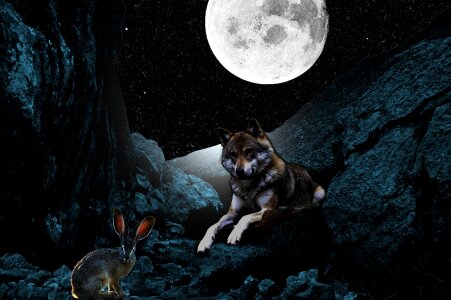 Moon wolf hare fantasy