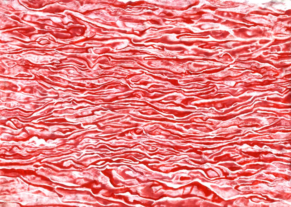 Glacis acryliques au couteau de la rivière amère (série) 