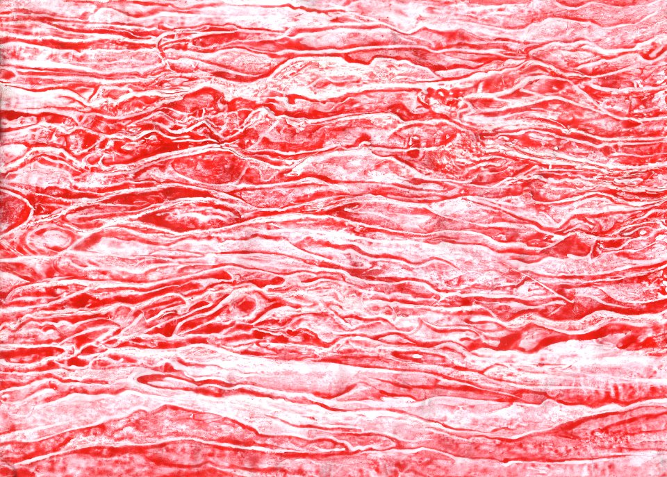 Glacis acryliques au couteau de la rivière amère (série) 