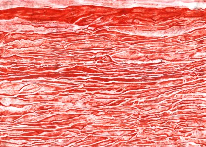 Glacis acryliques au couteau de la rivière amère (série) 
