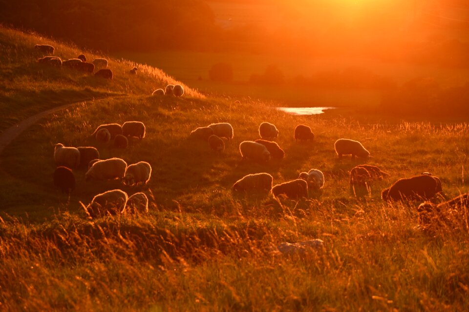 Landscape scenic hill