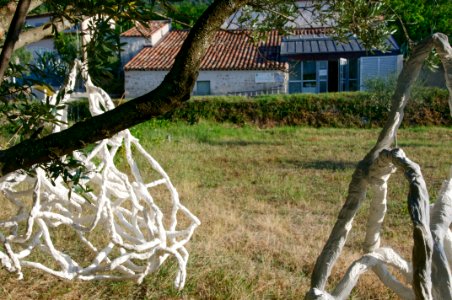 Les âmes sentinelles et le Moulin-musée de Callas lors de … 
