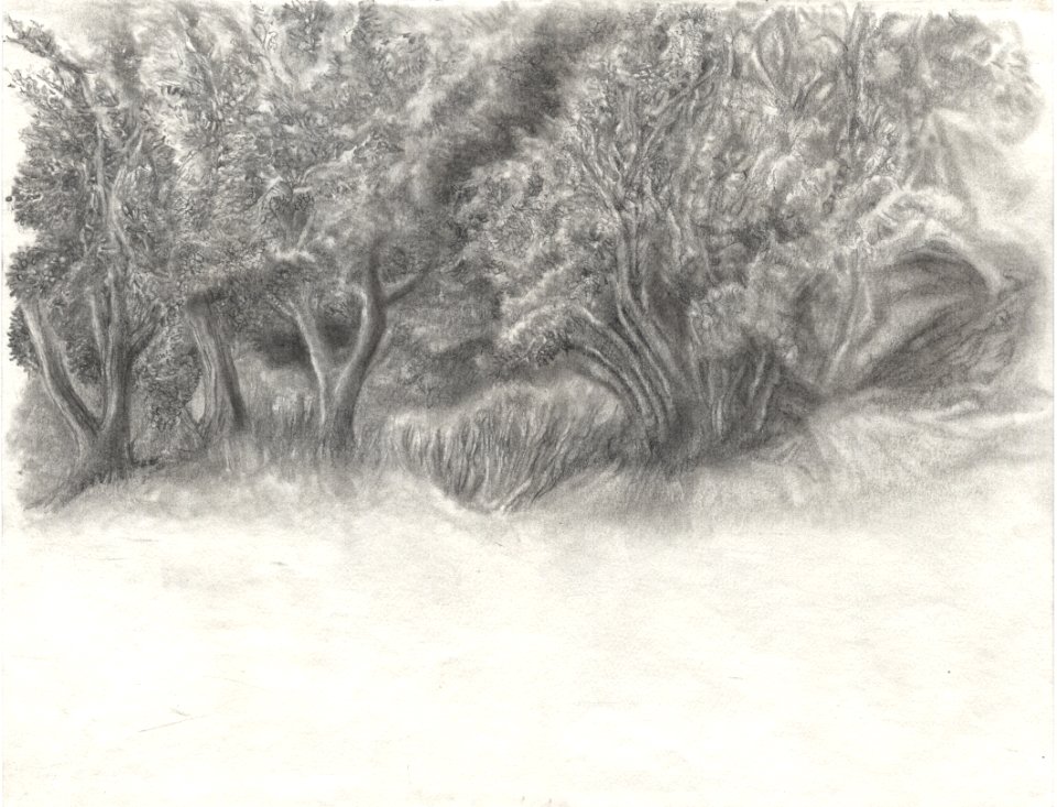 Dessin sur le motif du paysage vu du Moulin-musée de Calla… 