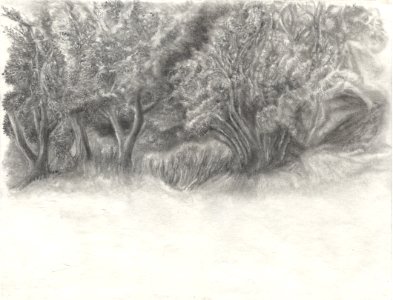Dessin sur le motif du paysage vu du Moulin-musée de Calla… 