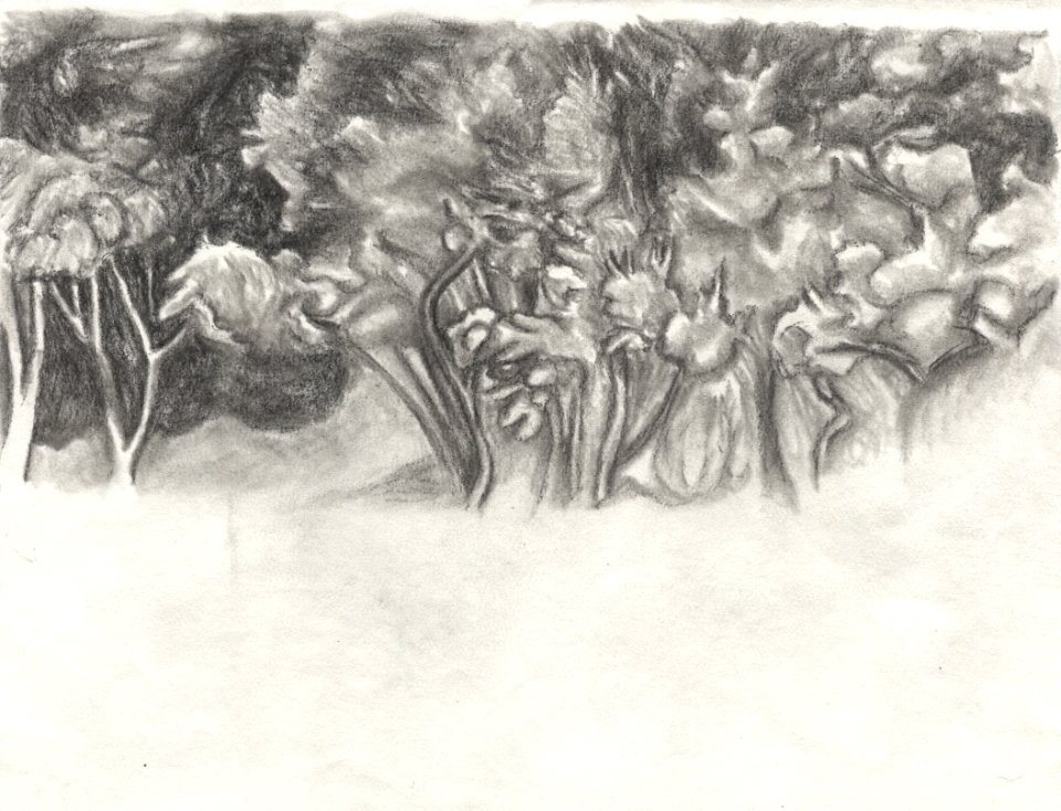 Dessin sur le motif du paysage vu du Moulin-musée de Calla… 