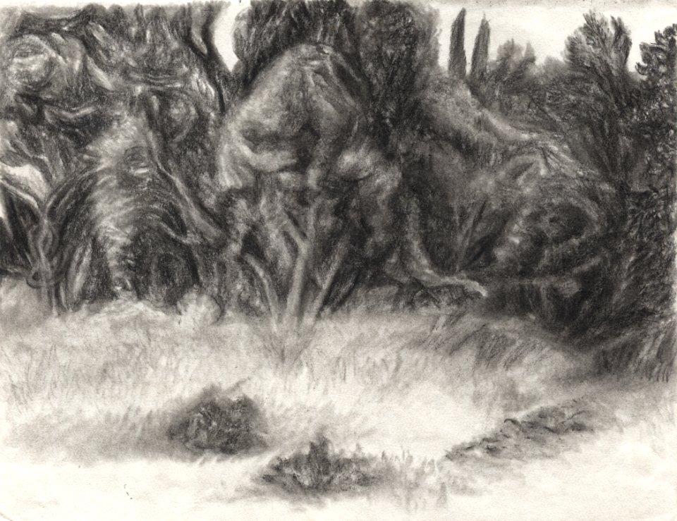 Dessin sur le motif du paysage vu du Moulin-musée de Calla… 
