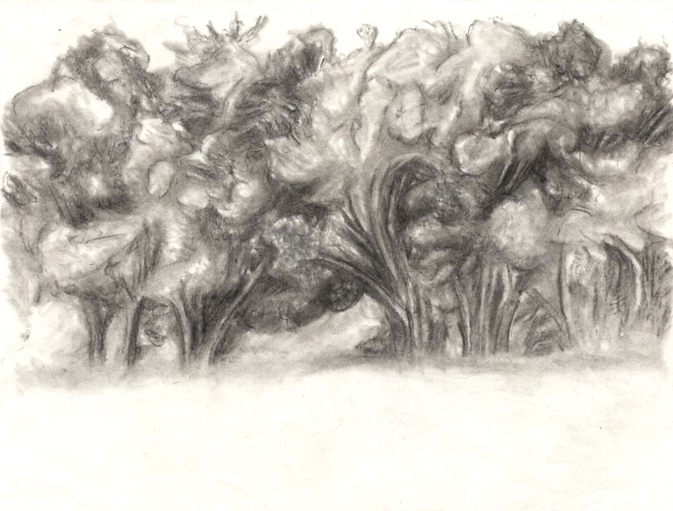 Dessin sur le motif du paysage vu du Moulin-musée de Calla… 