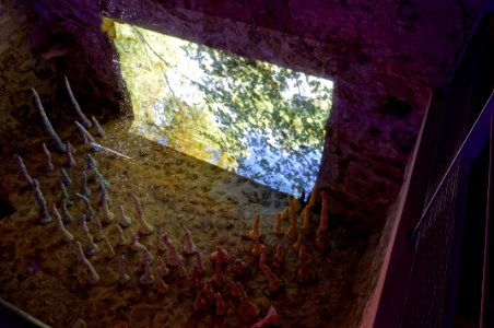 Installation vidéo dans un bassin de décantation pour l'ex… 