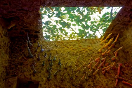 Installation vidéo dans un bassin de décantation pour l'ex… 