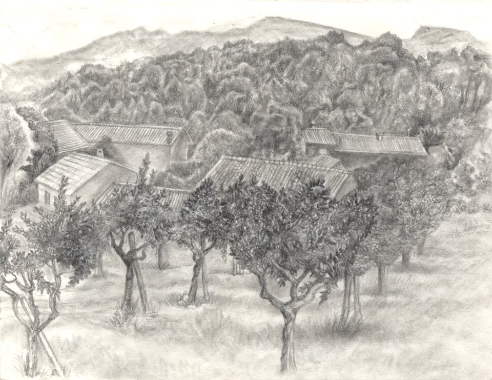 Paysage vu du Moulin Musée de Callas 