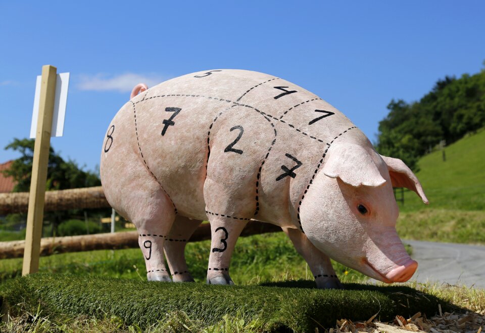 Meat agriculture farm