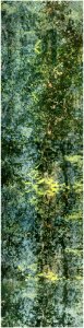 paysages éventuels (x7) 