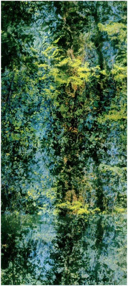 paysages éventuels (x4) 