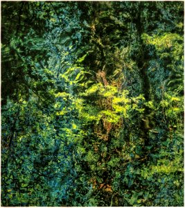 paysages éventuels (x2) 