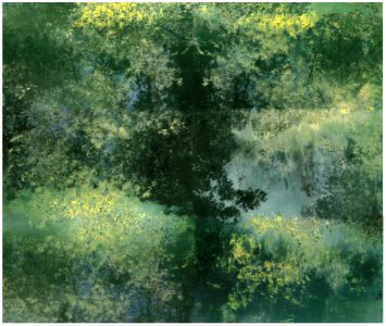 paysages éventuels (x6) 