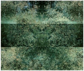 paysages éventuels (x6) avec poissons 