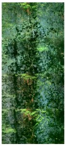 paysages éventuels (x4) 