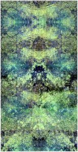 paysages éventuels (x14) 