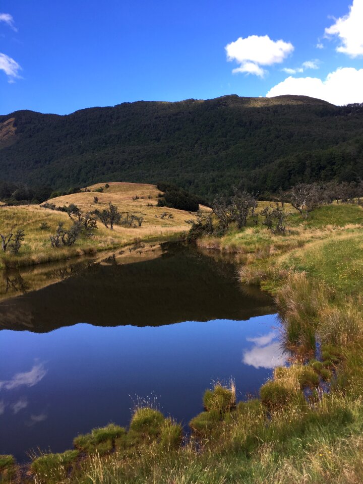 The scenery new zealand the rings