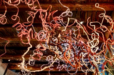 Exposition PAYSAGES* jusqu'au 31 juillet 