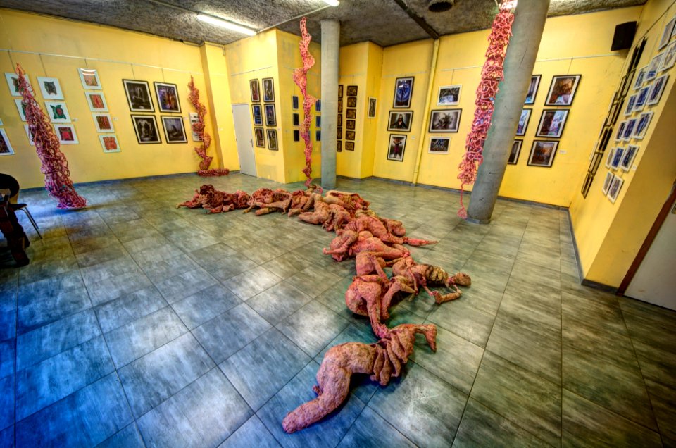 Espace Caboch'Arts - Expo Hervé Germain 