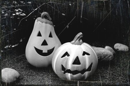 Pumpkin fash decoration photo