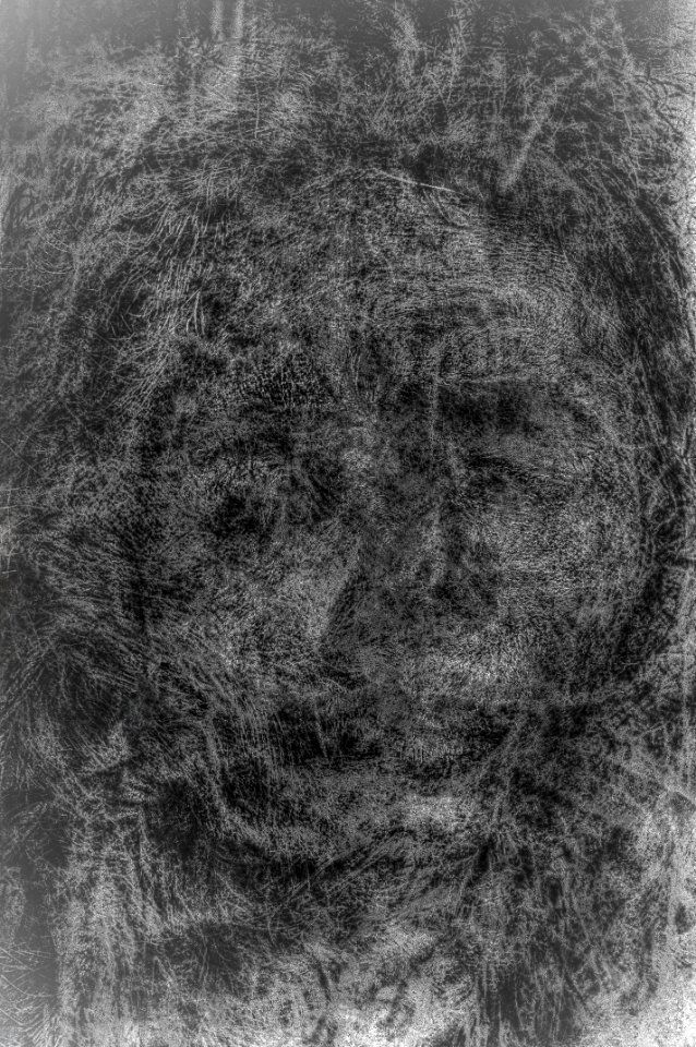Portraits 52 