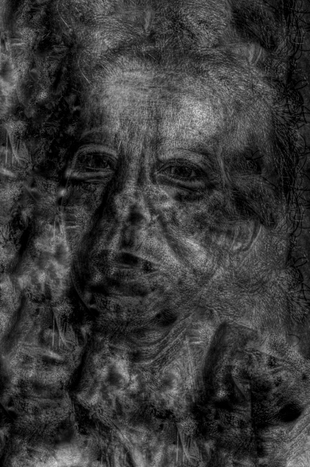 Portraits 15 B 