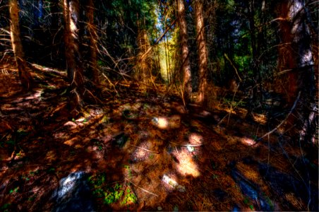 _DSC8260a_1_2_3_4_5_6_tonemapped 
