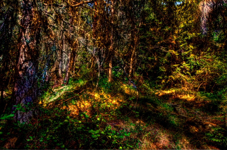 _DSC7925_6_7_8_fused 