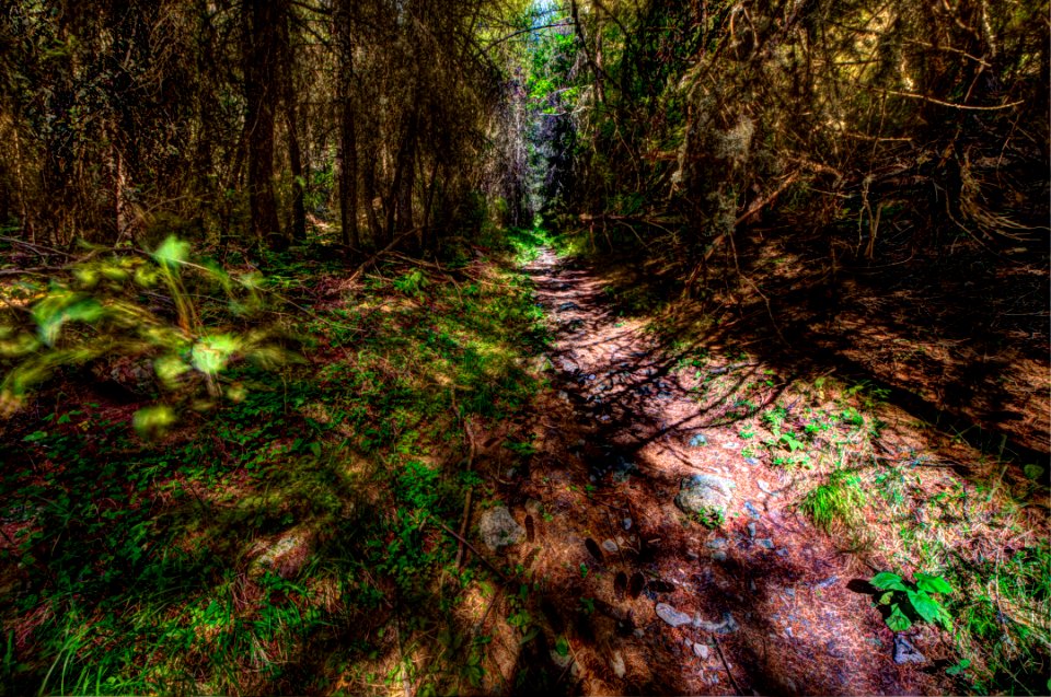 _DSC7883b_4_5_6_fused 