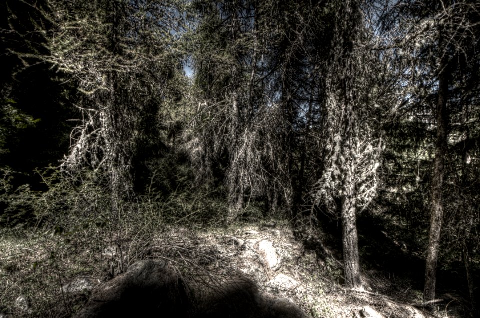 _DSC8637_38_39_40_41_42_43_tonemapped 