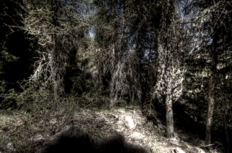 _DSC8637_38_39_40_41_42_43_tonemapped 