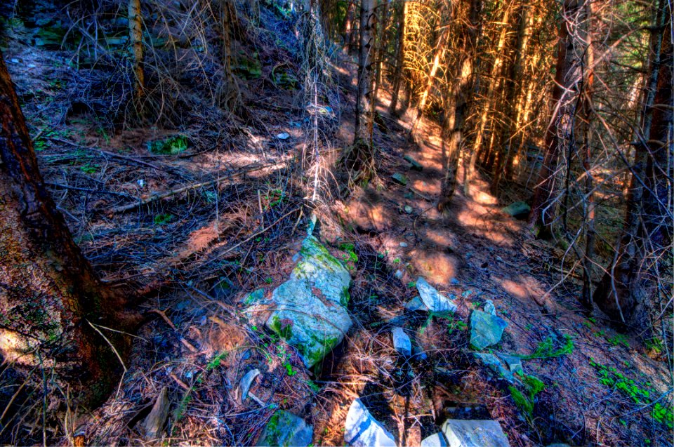 _DSC8176_77_78_79_80_tonemapped 