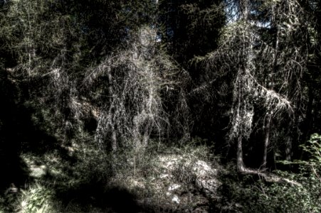_DSC8672a_3_4_5_6_7_8_tonemapped 