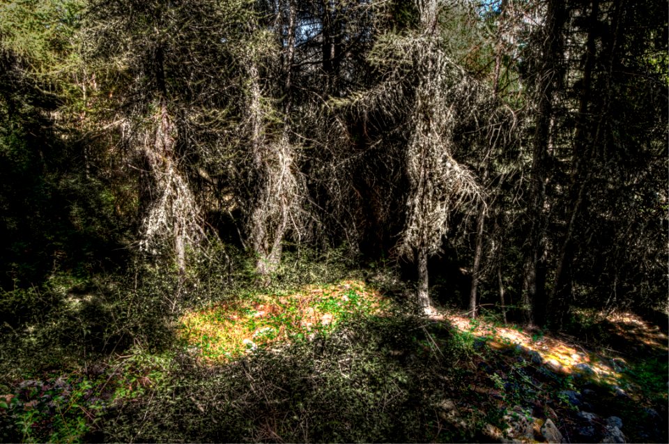 _DSC8665_66_67_68_69_70_71_tonemapped 