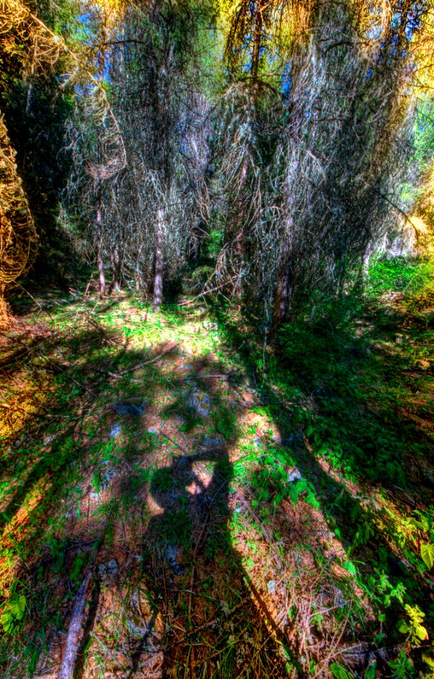 _DSC7624_25_26_27_28_29_30_tonemapped 