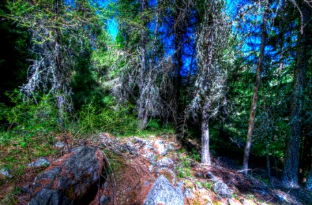 _DSC7464_65_66_67_68_69_70_tonemapped 