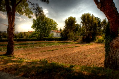 _DSC6540_1_2_3_4_5_6_tonemapped 