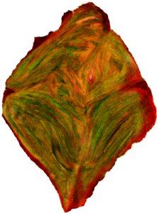 1994, pastels à l'huile sur papier 
