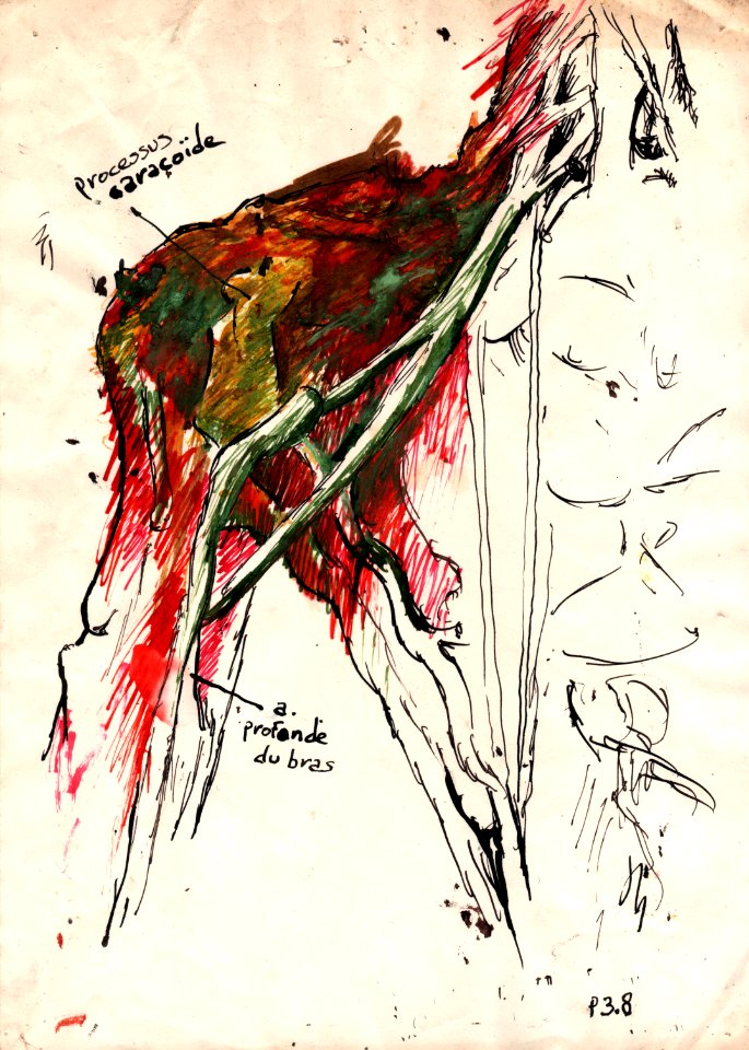 1992, encres sur papier A4 (présenté dans des installatio… 