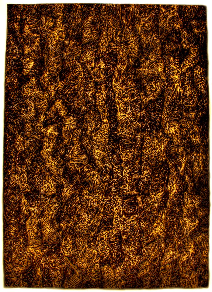 Dessin des fibres, composant la feuille de papier, au sty… 