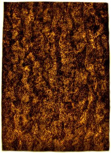Dessin des fibres, composant la feuille de papier, au sty… 