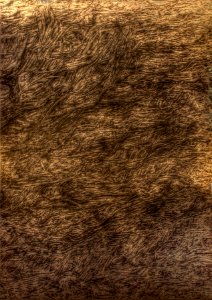 Dessin des fibres, composant la feuille de papier, au sty… 