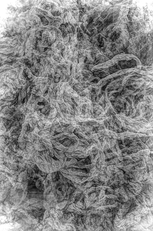 DSC_4446_47_48_49_50_51_fusedAnd3more_fused_DxOFP 