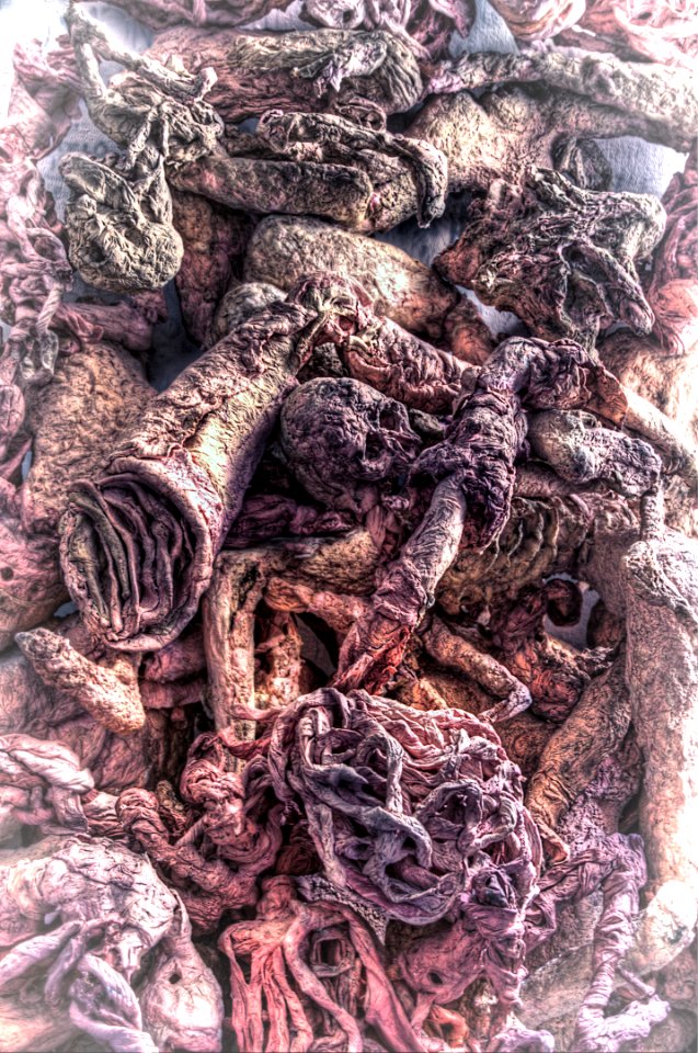 DSC_4409_10_11_12_13_14_tonemapped_DxO 
